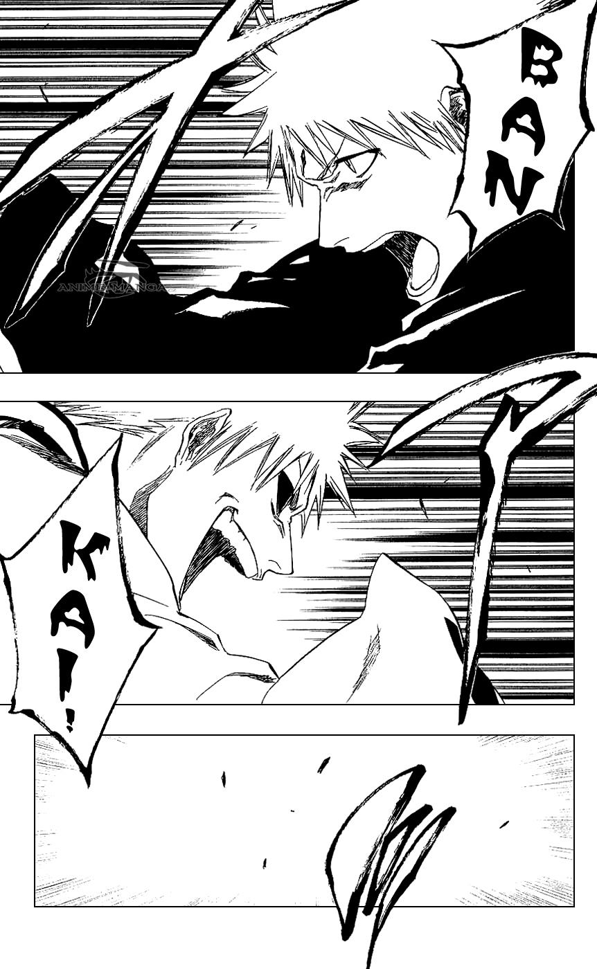Bleach 219 01 kopie.jpg